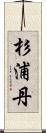 杉浦丹 Scroll
