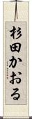 杉田かおる Scroll