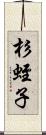 杉蛭子 Scroll