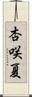 杏咲夏 Scroll