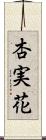 杏実花 Scroll