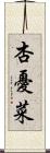 杏憂菜 Scroll