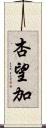 杏望加 Scroll
