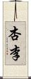 杏李 Scroll
