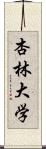 杏林大学 Scroll