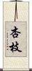 杏枝 Scroll
