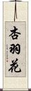 杏羽花 Scroll