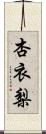 杏衣梨 Scroll