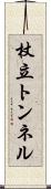 杖立トンネル Scroll