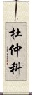 杜仲科 Scroll