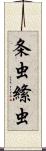 条虫 Scroll