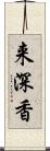 来深香 Scroll