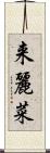 来麗菜 Scroll