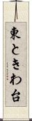 東ときわ台 Scroll