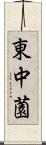 東中薗 Scroll