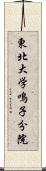 東北大学鳴子分院 Scroll