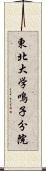 東北大学鳴子分院 Scroll