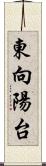 東向陽台 Scroll