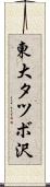 東大タツボ沢 Scroll