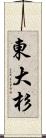 東大杉 Scroll