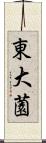 東大薗 Scroll
