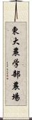 東大農学部農場 Scroll