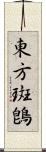 東方斑鵖 Scroll