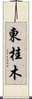 東桂木 Scroll
