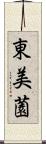 東美薗 Scroll