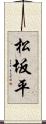松坂平 Scroll