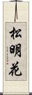 松明花 Scroll