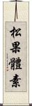 松果體素 Scroll