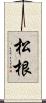 松根 Scroll