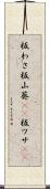 板わさ Scroll