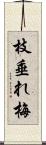 枝垂れ梅 Scroll