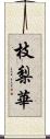 枝梨華 Scroll