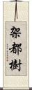 架都樹 Scroll