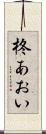 柊あおい Scroll