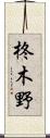 柊木野 Scroll