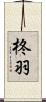 柊羽 Scroll