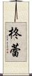 柊蕾 Scroll