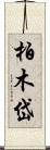 柏木岱 Scroll