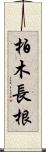 柏木長根 Scroll