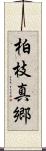 柏枝真郷 Scroll