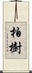 柏樹 Scroll