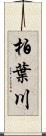柏葉川 Scroll