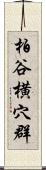 柏谷横穴群 Scroll