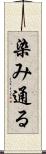 染み通る Scroll