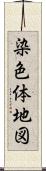 染色体地図 Scroll