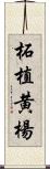 柘植 Scroll